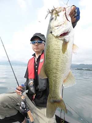 truth news ブログ写真 2013/08/07