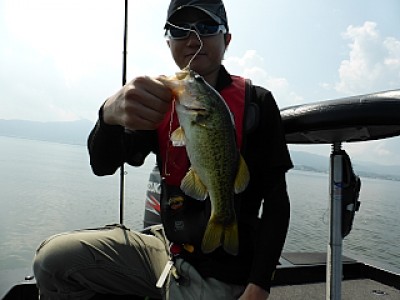 truth news ブログ写真 2013/08/07