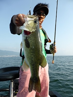 truth news ブログ写真 2013/08/08