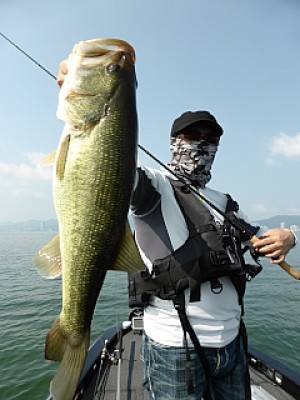 truth news ブログ写真 2013/08/08