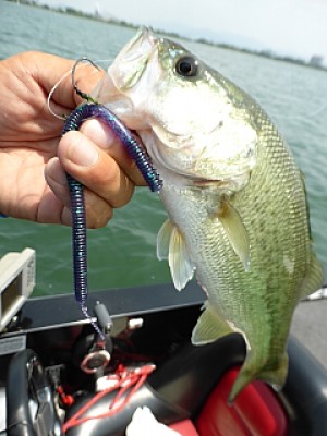 truth news ブログ写真 2013/08/08