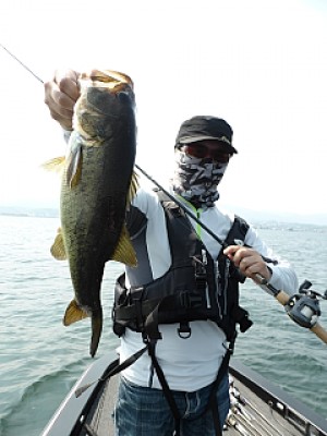 truth news ブログ写真 2013/08/08