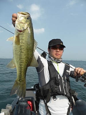 truth news ブログ写真 2013/08/08