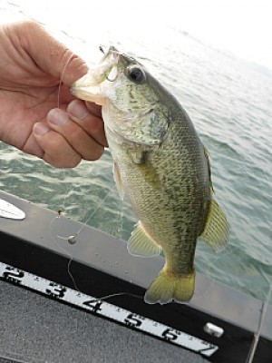 truth news ブログ写真 2013/08/10