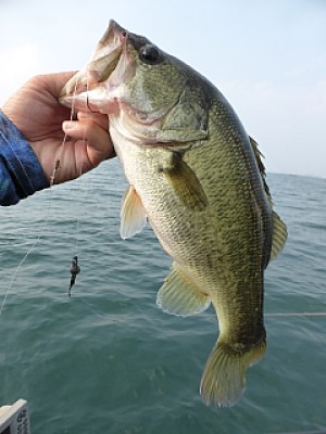 truth news ブログ写真 2013/08/10