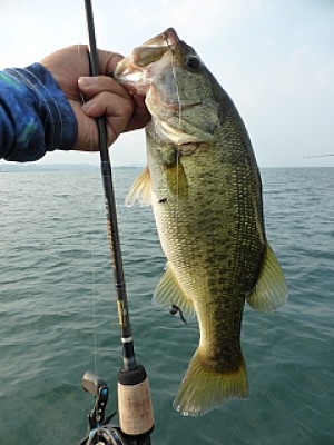 truth news ブログ写真 2013/08/10