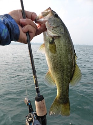 truth news ブログ写真 2013/08/10