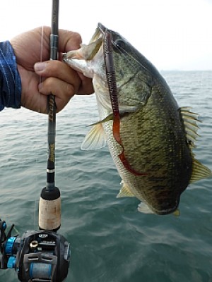 truth news ブログ写真 2013/08/10