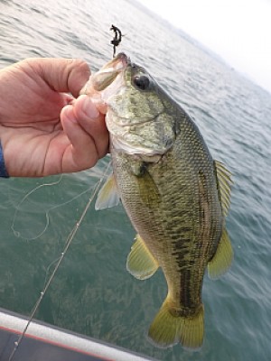 truth news ブログ写真 2013/08/10