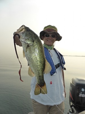 truth news ブログ写真 2013/08/10