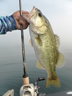 truth news ブログ写真 2013/08/10