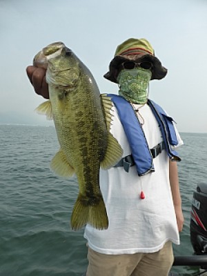 truth news ブログ写真 2013/08/10