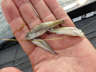 truth news ブログ写真 2013/08/10