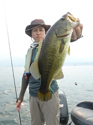 truth news ブログ写真 2013/08/11