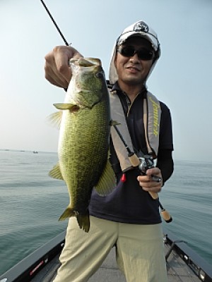 truth news ブログ写真 2013/08/11