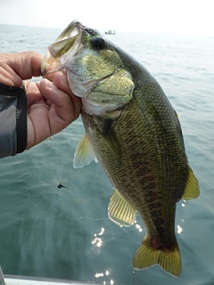 truth news ブログ写真 2013/08/11