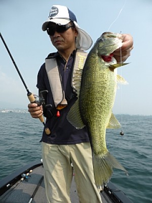 truth news ブログ写真 2013/08/11