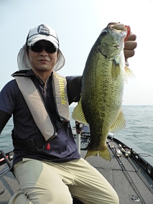 truth news ブログ写真 2013/08/11