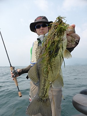 truth news ブログ写真 2013/08/11