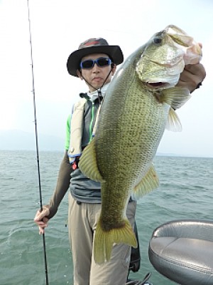 truth news ブログ写真 2013/08/11