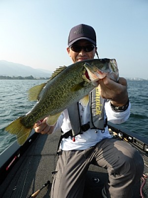 truth news ブログ写真 2013/08/12