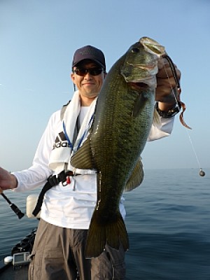 truth news ブログ写真 2013/08/12