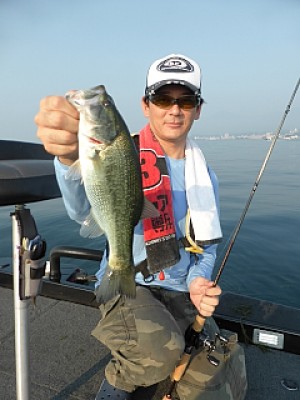 truth news ブログ写真 2013/08/12