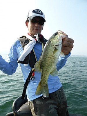 truth news ブログ写真 2013/08/12