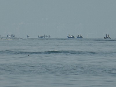 truth news ブログ写真 2013/08/13