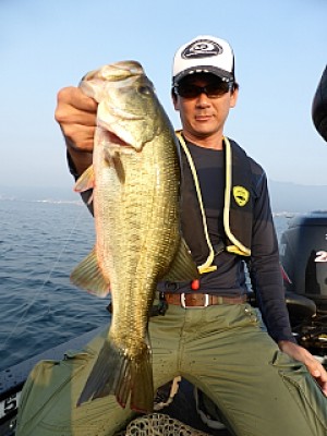 truth news ブログ写真 2013/08/13