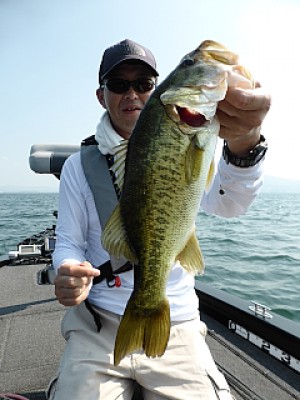 truth news ブログ写真 2013/08/13