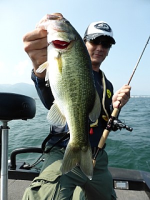 truth news ブログ写真 2013/08/13