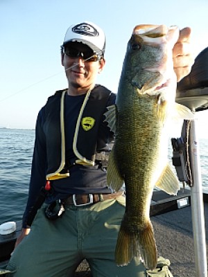 truth news ブログ写真 2013/08/13