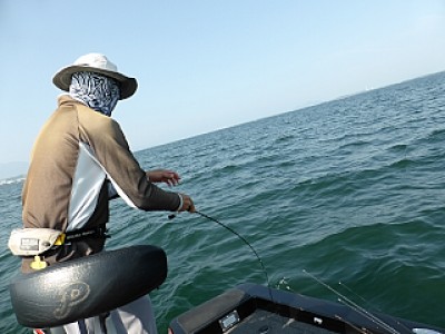 truth news ブログ写真 2013/08/14