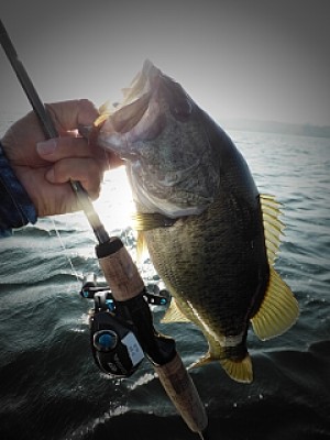 truth news ブログ写真 2013/08/14