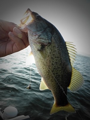 truth news ブログ写真 2013/08/14