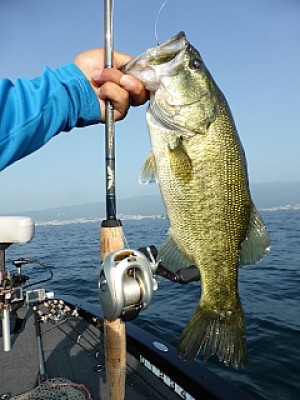 truth news ブログ写真 2013/08/14