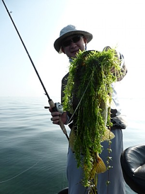 truth news ブログ写真 2013/08/14