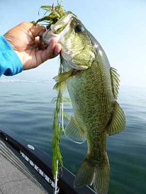 truth news ブログ写真 2013/08/14