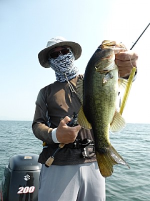 truth news ブログ写真 2013/08/14