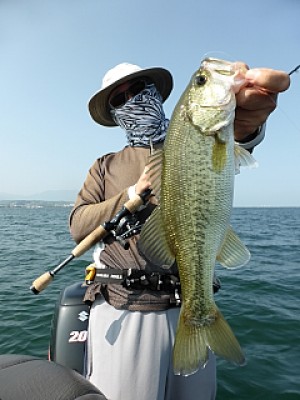 truth news ブログ写真 2013/08/14