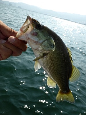 truth news ブログ写真 2013/08/14