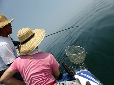 truth news ブログ写真 2013/08/15