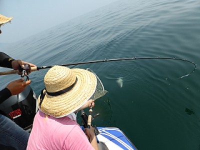 truth news ブログ写真 2013/08/15