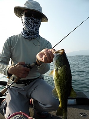 truth news ブログ写真 2013/08/15