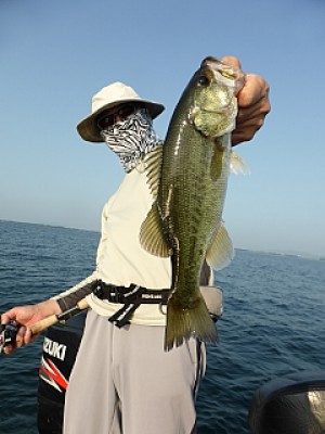 truth news ブログ写真 2013/08/15