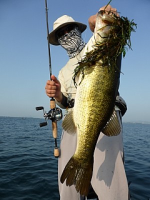 truth news ブログ写真 2013/08/15