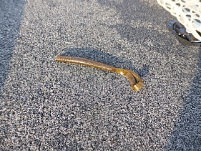 truth news ブログ写真 2013/08/15