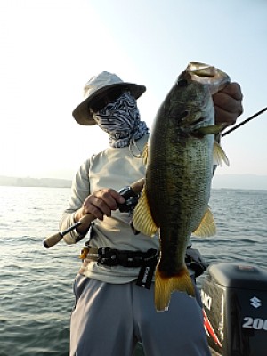 truth news ブログ写真 2013/08/15