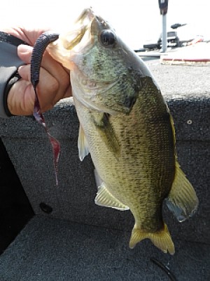 truth news ブログ写真 2013/08/15